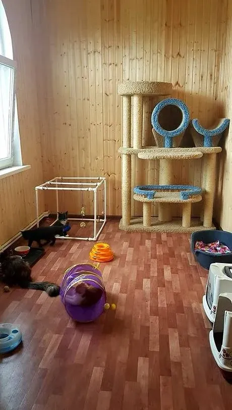 Комната для подростков с игровым комплексом и тоннелем