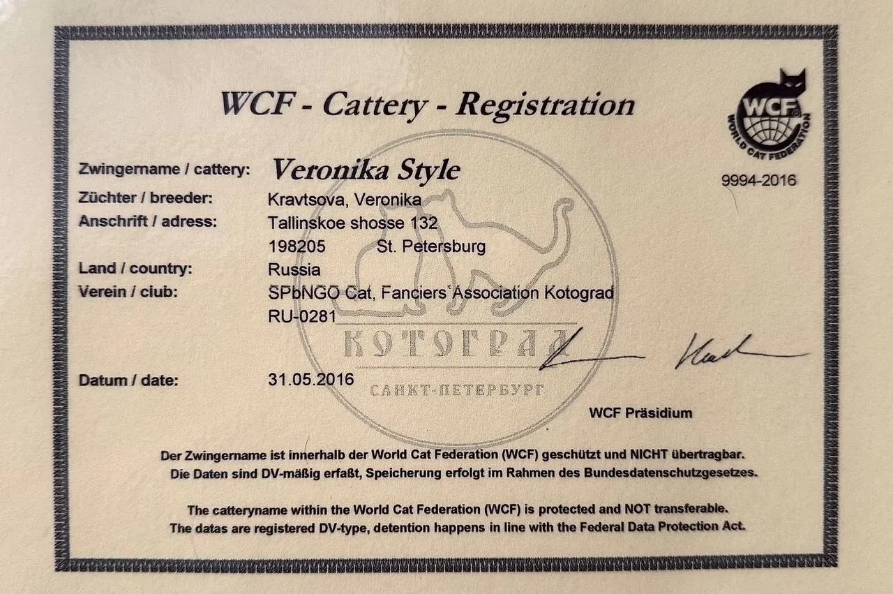 Сертификат регистрации Veronika Style в WCF, номер 9994-2016