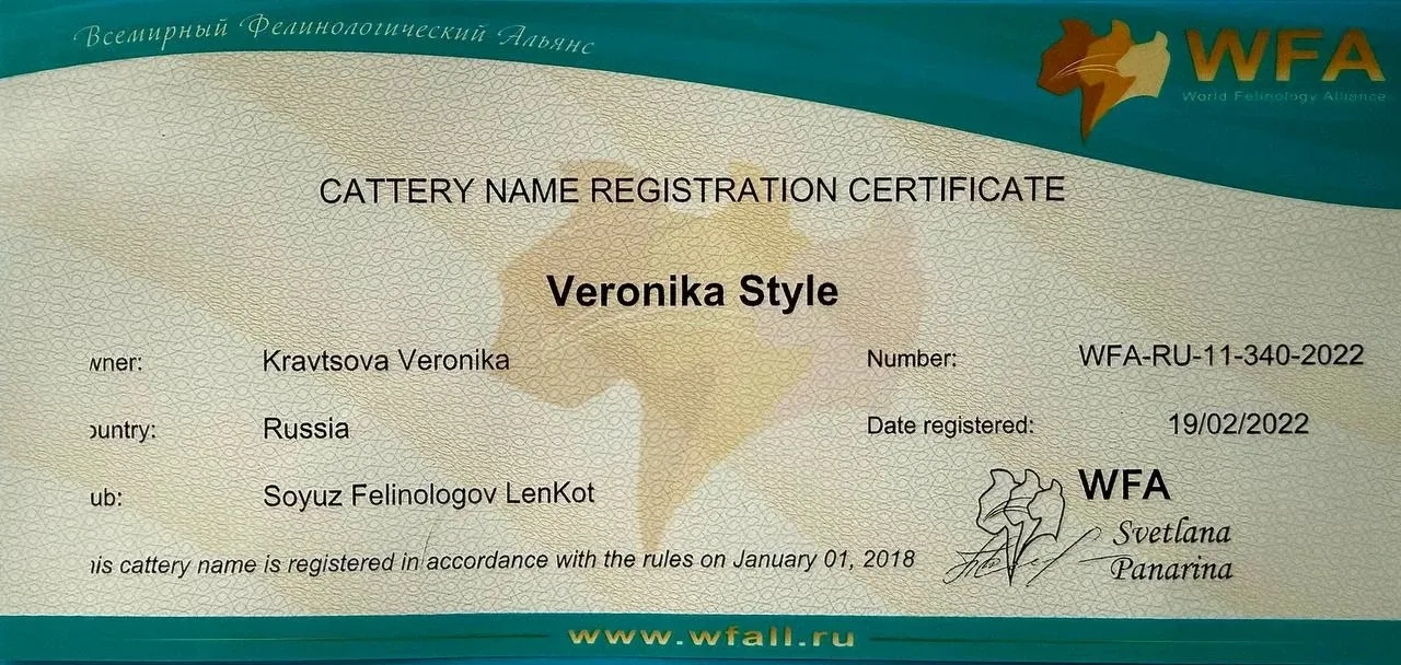 Сертификат регистрации Veronika Style в WFA, номер WFA-RU-11-340-2022